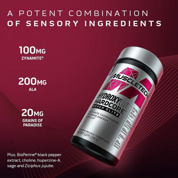MuscleTech